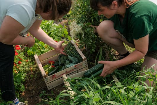 Paysans à la Ferme de Toussacq