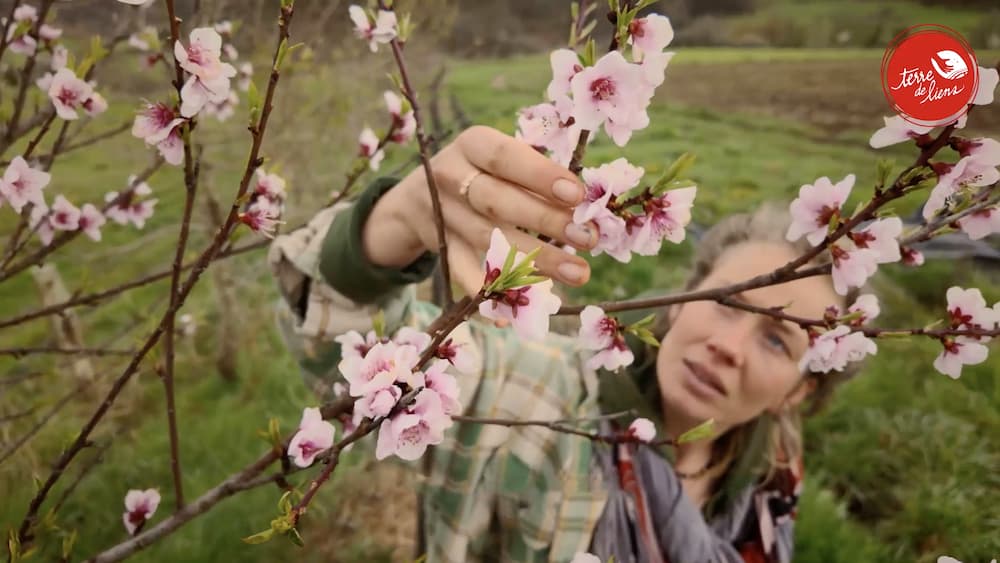 La Ferme de la Tournerie